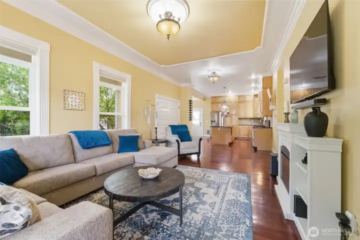 Great room / Living Room / Family Room