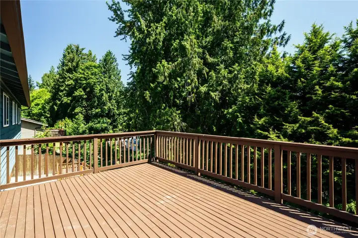 Large upper deck overlooking the backyard