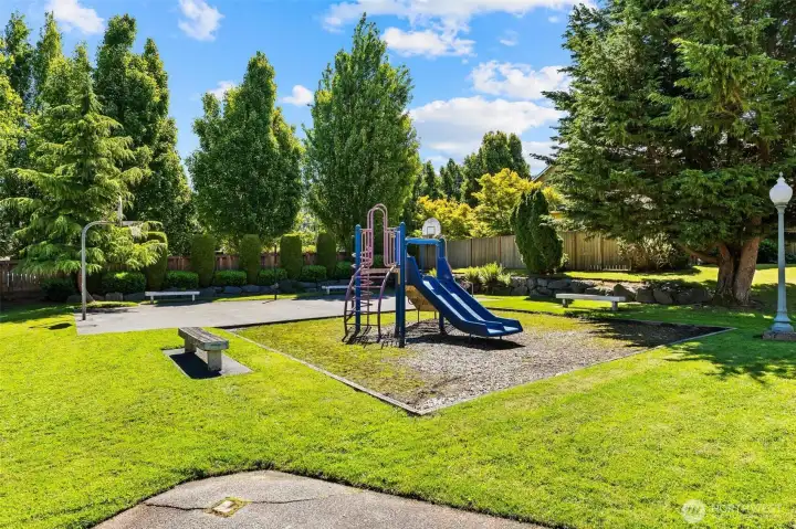 Community Park