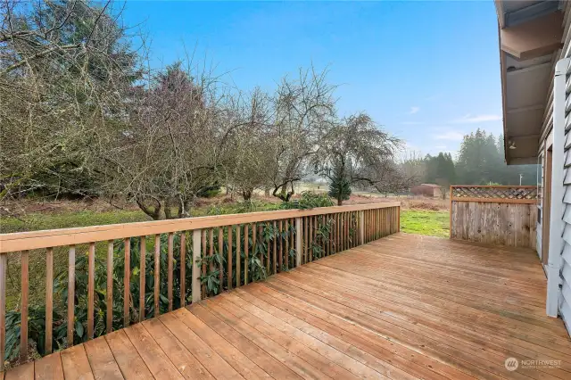 DECK OVERLOOKING ORCHARD