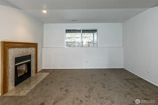 Lower - Level with gas fireplace