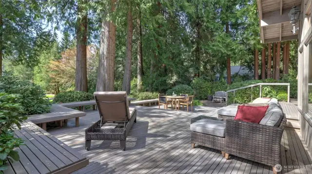 Enjoy coffee, drinks, or catch a bit of sun. Extended patio off in the distance.
