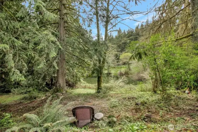 Looking towards the pond (the pond is not on the owner's property)