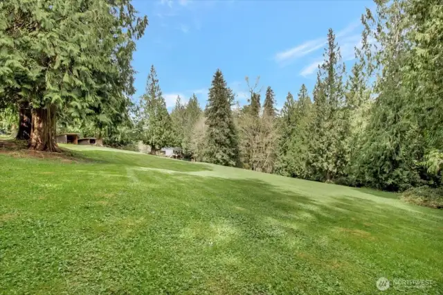 Beautiful field looking towards the home