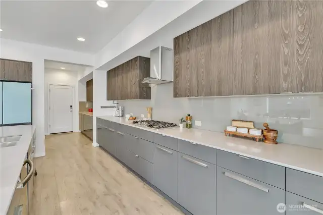 From the kitchen looking into the butler's pantry and wet bar to the oversized walk-in pantry.