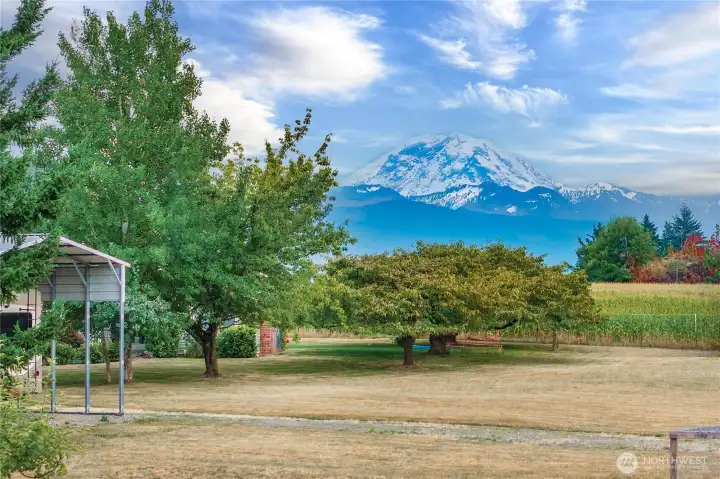 Beautiful Enumclaw Farmhouse w/Stunning Rainier views!