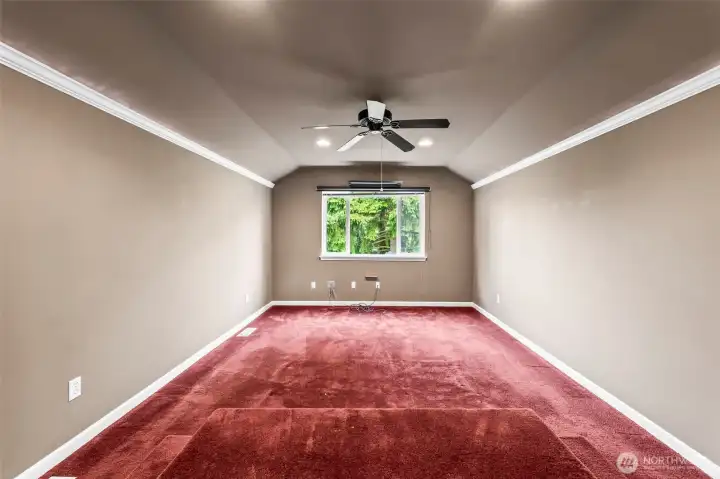 media room/theatre room.
