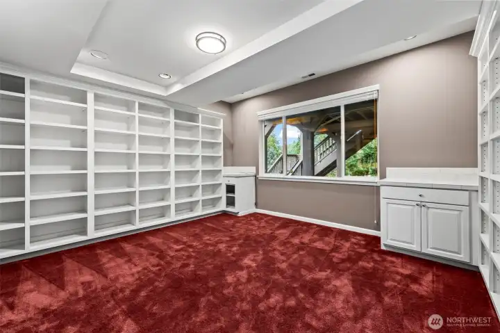 Basement library/office/bedroom