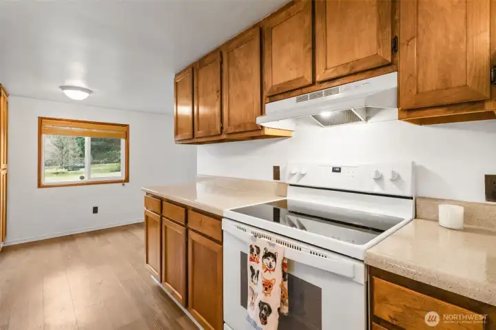 Abundance of Cabinet space.