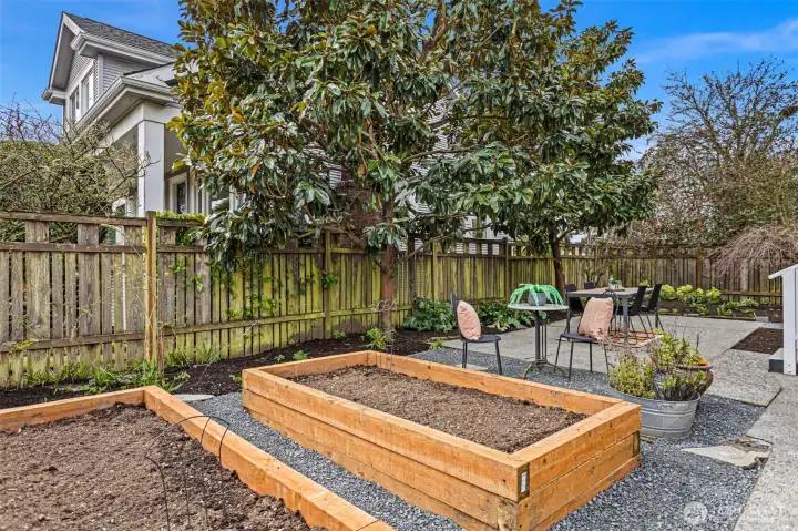 Raised garden beds prepped for your veggies and herbs