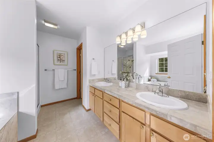 Primary bathroom with shower, jetted tub and separate WC
