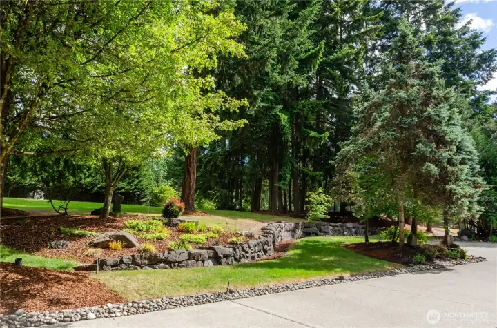 Just some of the front yard from the expansive driveway Just some of the front yard from the expansive driveway