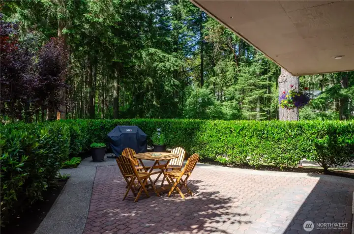 Secluded and private, paved patio off of the kitchn Secluded and private, paved patio off of the kitchn