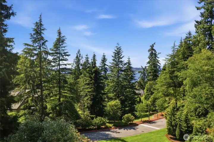 Peaceful territorial and partial Lake Washington views framed by mature evergreens, creating a private and tranquil setting year-round. Peaceful territorial and partial Lake Washington views framed by mature evergreens, creating a private and tranquil setting year-round.