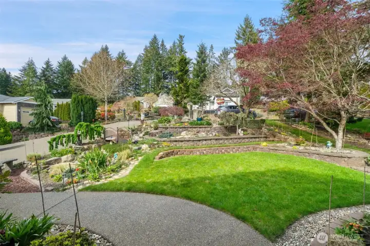 Front yard.