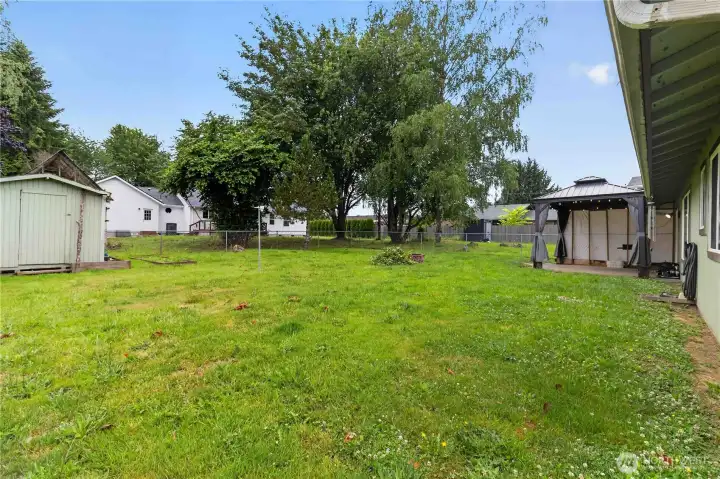 Backyard
