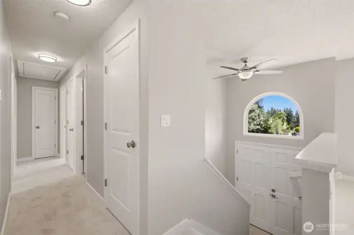 Fresh carpet throughout the first floor