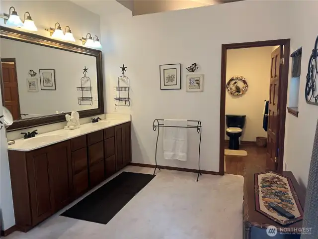 Two-bathroom sinks and large counter area.