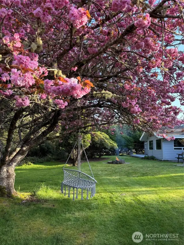 The blooms are out and the firepit is ablaze in the beautiful, private backyard.