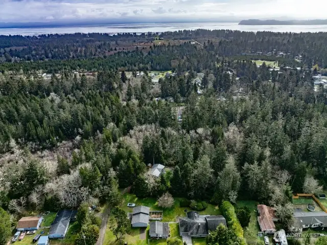 Not only is this beautiful property close to the ocean, but it is also close to Willapa Bay. Oysters, clams and canoeing. This is beach living at its best!