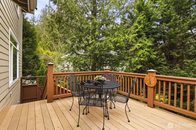 Trek deck overlooking the serene backyard