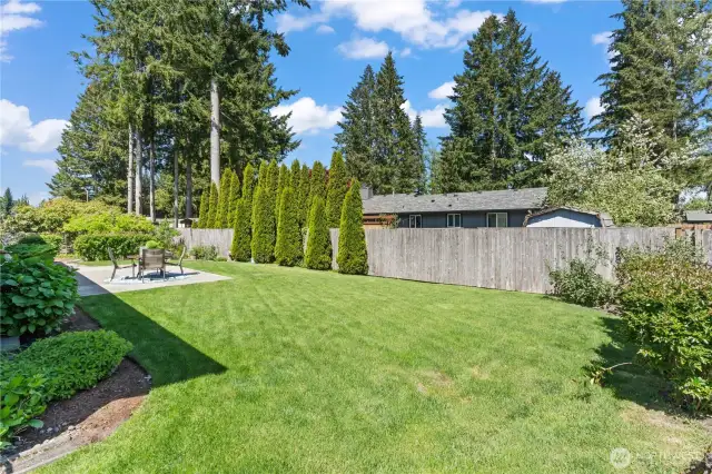 This expansive backyard offers a lush, green lawn bordered by mature trees and a privacy fence—ideal for pets, playtime, or even a garden expansion. The tall arborvitae provides a beautiful natural screen, enhancing both beauty and seclusion.