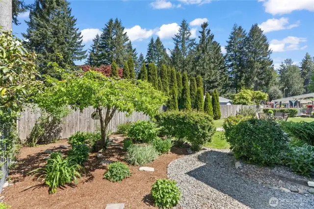 Serene backyard garden retreat with mature apple tree, layered shrubs, and a well-maintained mulched path—perfect for morning strolls and nature-filled relaxation.