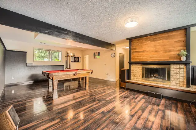 Large Downstairs Rec/Family room
