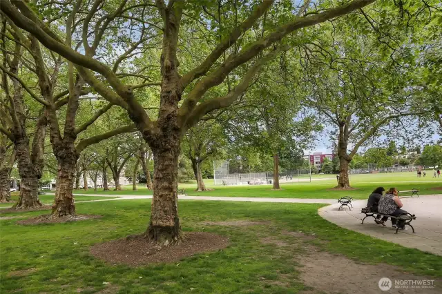 Green Lake is the perfect destination for summer picnics.