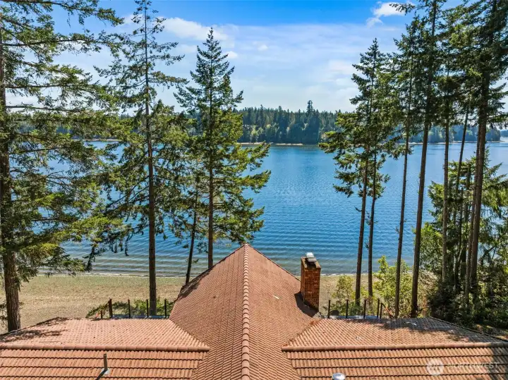 Nature’s little reveal — catch glimpses of Rainier peeking above the treetops.