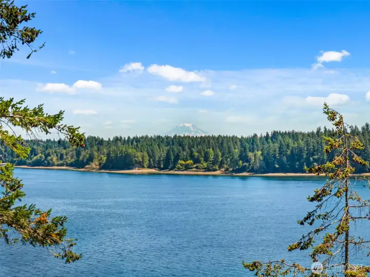 Views worth discovering
