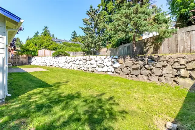 Back yard