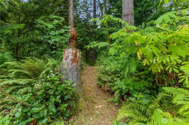 cut in paths throughout your yard