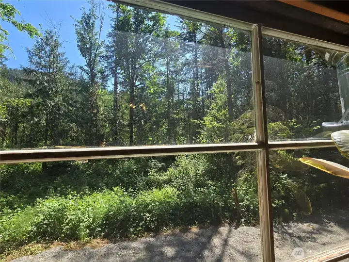 Great territorial view from your living room windows.