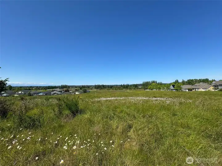 Approximate lot lines