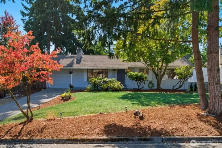Front yard