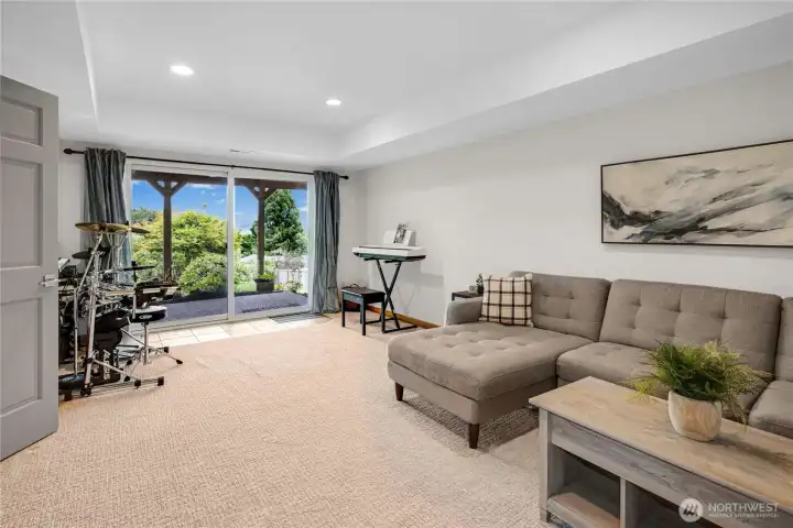 Large Flex room on walk-out level