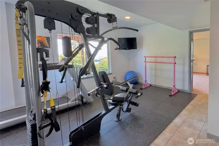 Gym/Flex Space - walk-out level