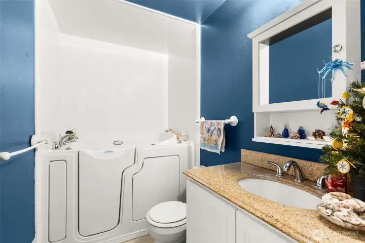 Walk-in tub with hand-held shower