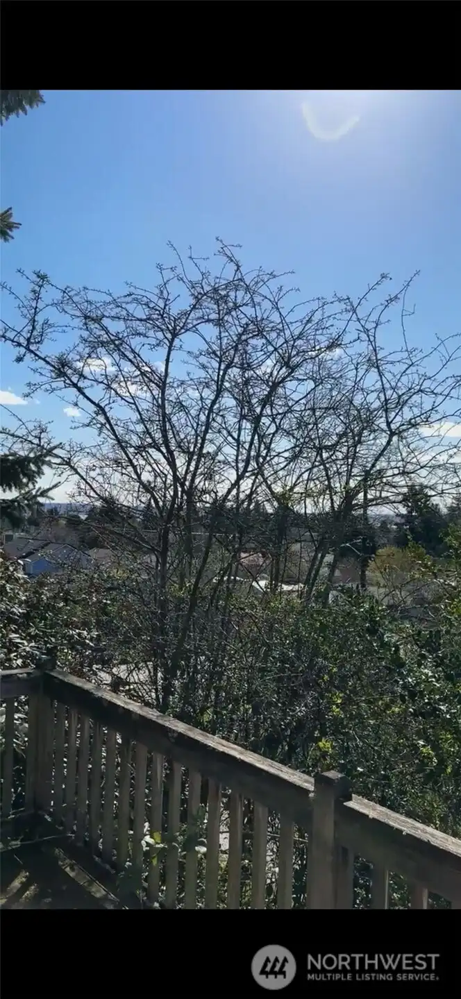 Trim the Trees = Water View