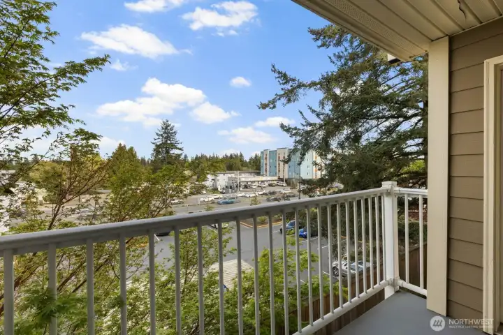 On a nice day you'll see the mountain from the windows & deck