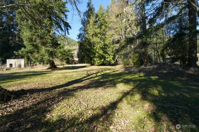 Park Setting with Large Trees and Flat Ground