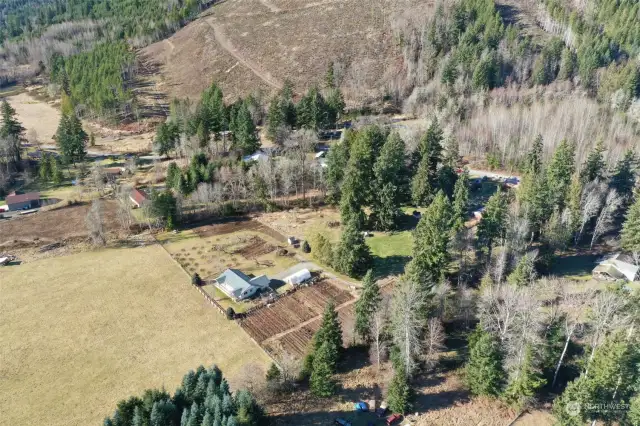 Elk and Deer Frequent Clear Cut Near Property. Property is fenced to keep such visitors out.