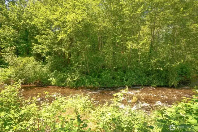 Back porch overlooks the Little Quilcene River.