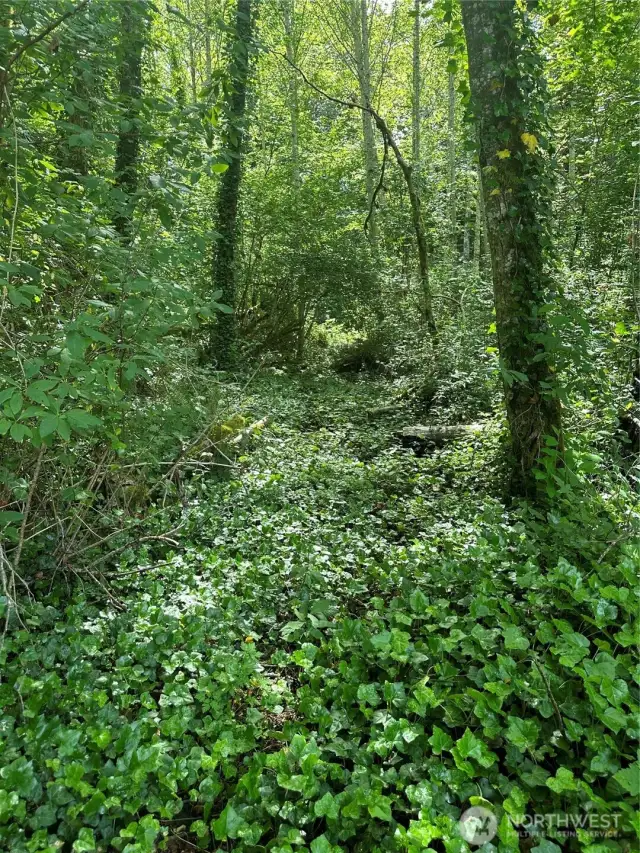 Trail down to riverfront.