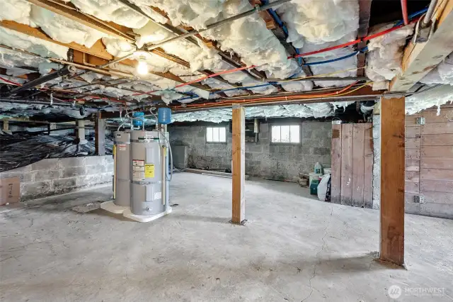 Unfinished basement offers ample shared storage