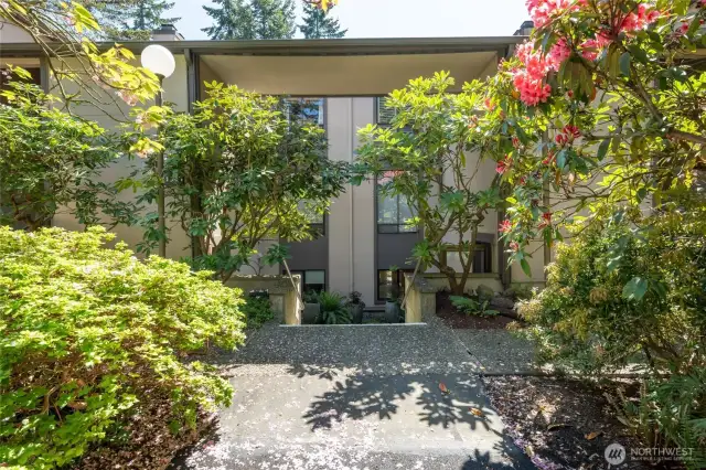 Stunning, secure complex and you get two parking spots. One is covered!