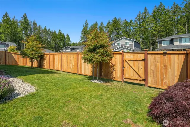 Fully fenced back yard.