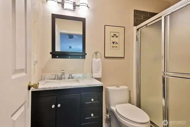 Daylight Basement 3/4 Bathroom