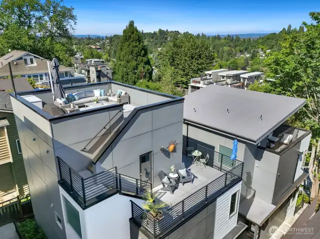 Well-conceived placement provides privacy on rooftop deck